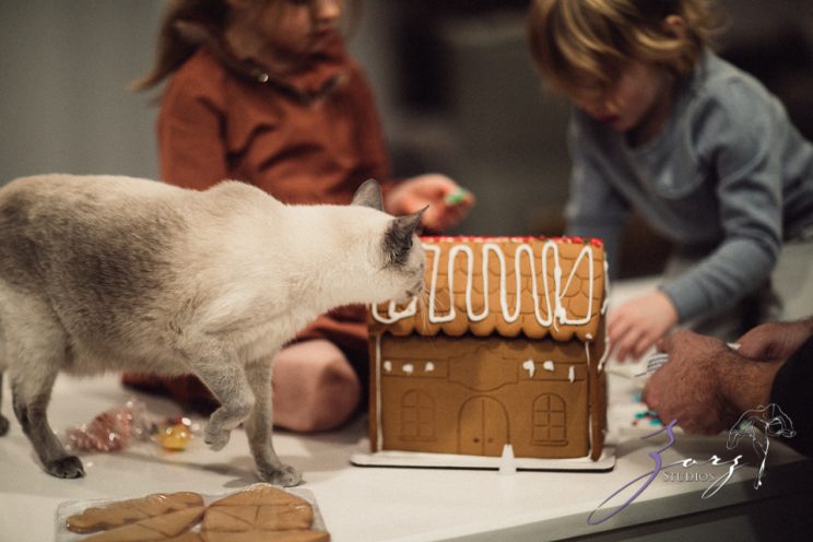 Frenz: A Day in the Life of Long Island Family | Zorz Studios