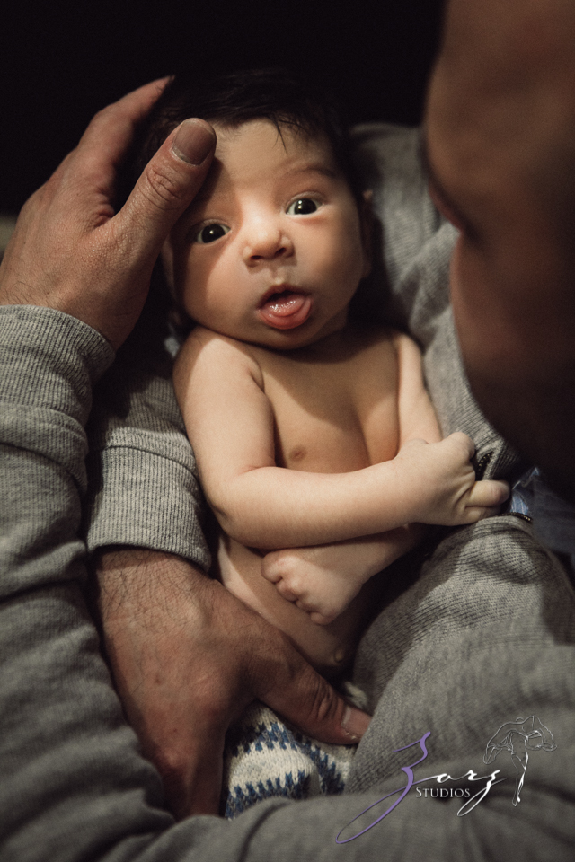 Jingle: Christmas Family Cheers for a Newborn by Zorz Studios
