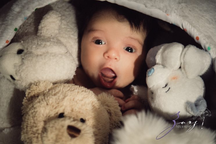 Jingle: Christmas Family Cheers for a Newborn by Zorz Studios