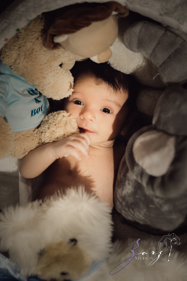 Jingle: Christmas Family Cheers for a Newborn by Zorz Studios