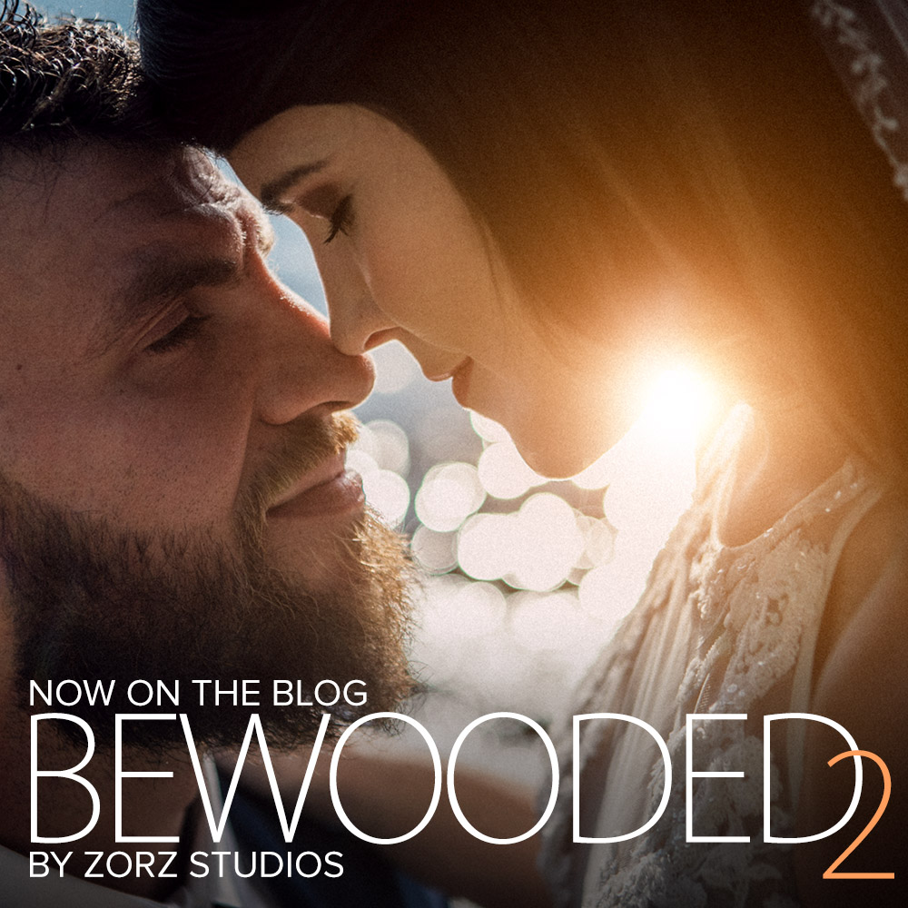 Bewooded 2: Poconos Wedding at Silver Birches, Lake Wallenpaupack by Zorz Studios