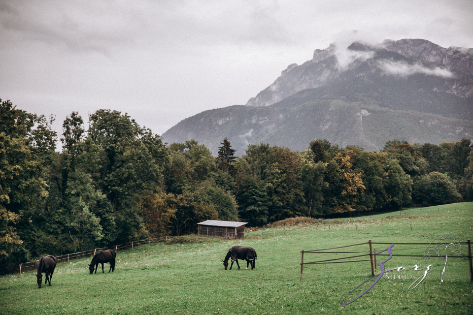 Countryside Chateau Wedding in France: Mon Bonheur | Zorz Studios