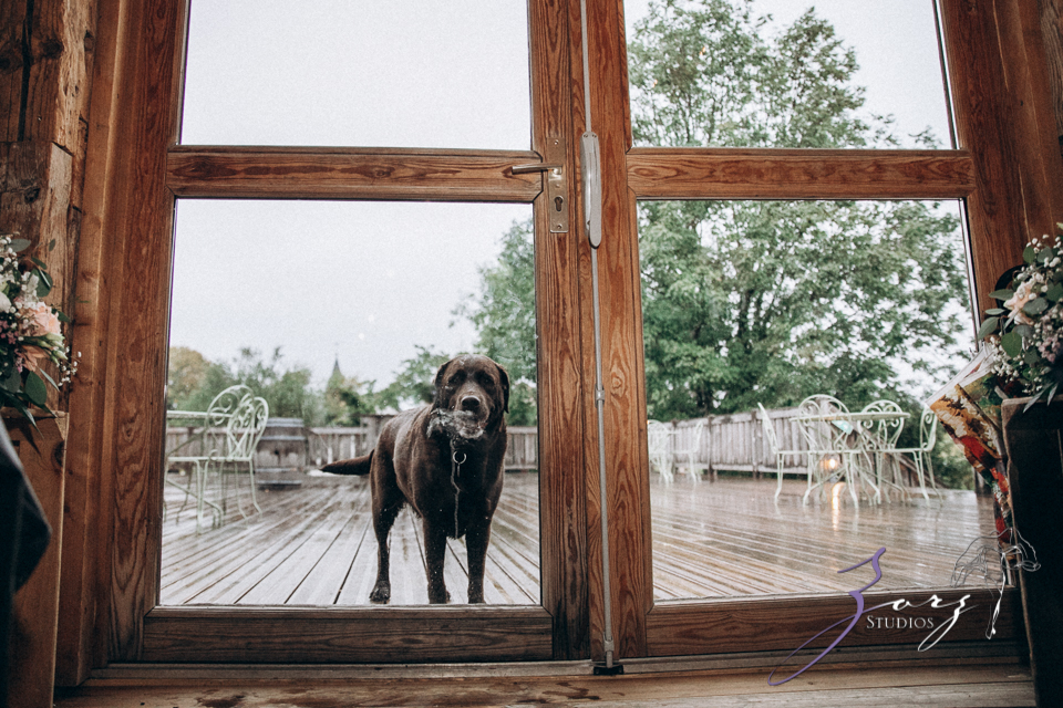Countryside Chateau Wedding in France: Mon Bonheur | Zorz Studios