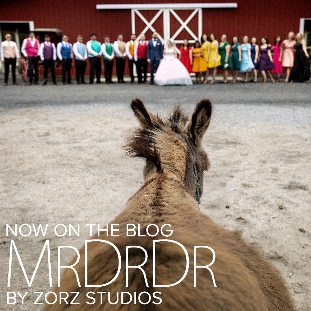 MrDrDr: A South Jersey Colorful Rescue Farm Wedding Unlike Any Other | Zorz Studios