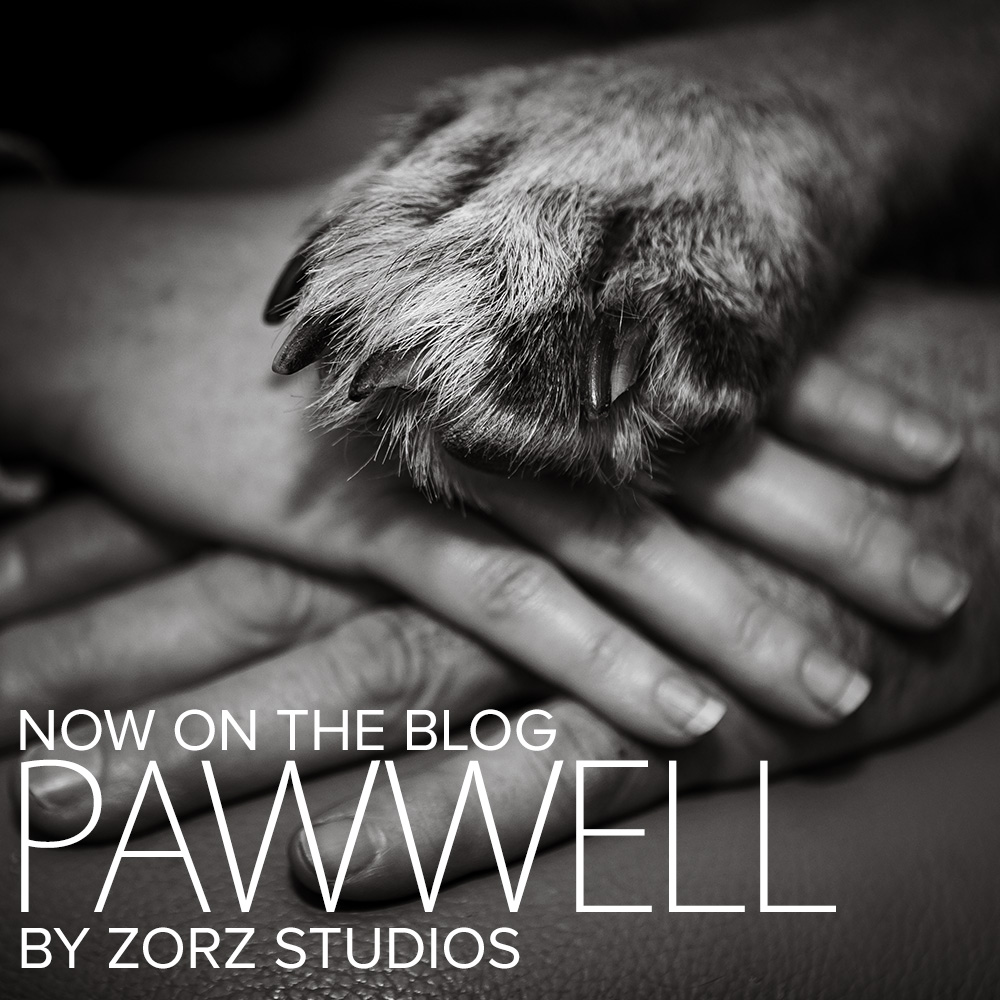 Pawwell: Gentle Pet Remembrance Photography Before Time Ran Out | Zorz Studios